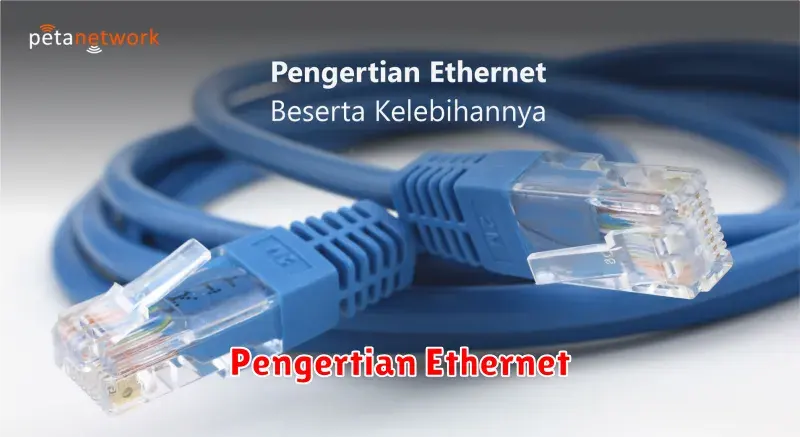 Pengertian Ethernet: Jaringan Kabel yang Menghubungkan Perangkat Anda
