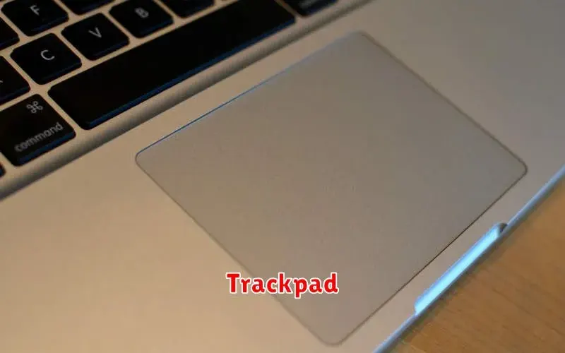 Pengertian Trackpad: Fungsi, Cara Kerja, dan Jenis-Jenisnya