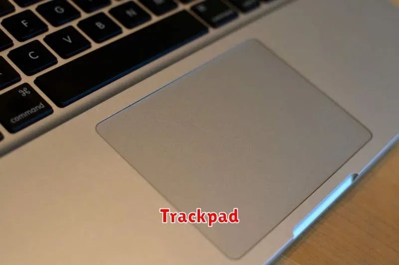 Pengertian Trackpad: Fungsi, Cara Kerja, dan Jenis-Jenisnya