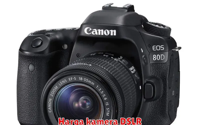 Panduan Lengkap Memilih Kamera DSLR: Harga, Spesifikasi, dan Tips