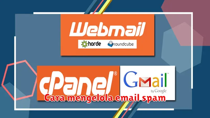 Cara Mengelola Email Spam: Panduan Lengkap untuk Email Inbox yang Bersih