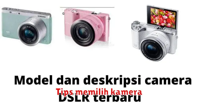 Tips Memilih Kamera yang Tepat untuk Kebutuhan Anda