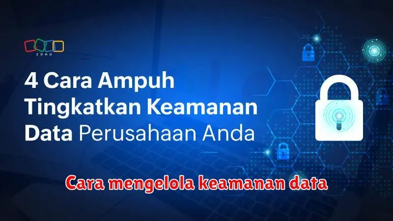 Mengelola Keamanan Data Website: Panduan Lengkap untuk Pengguna CMS