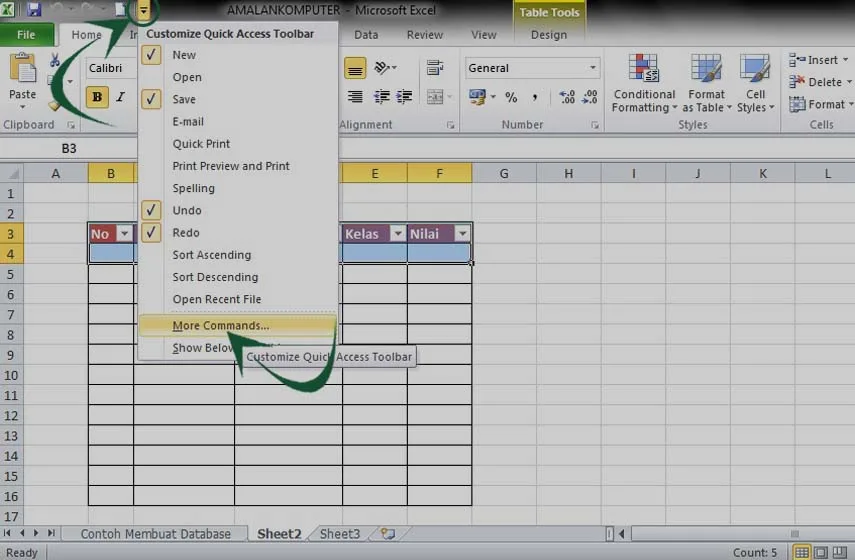 membuat database excel