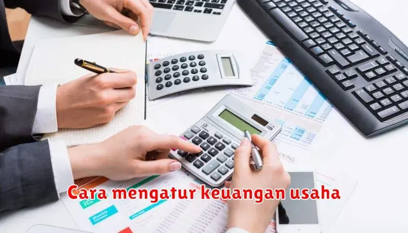 Cara Mengatur Keuangan Usaha Anda: Tips dan Strategi