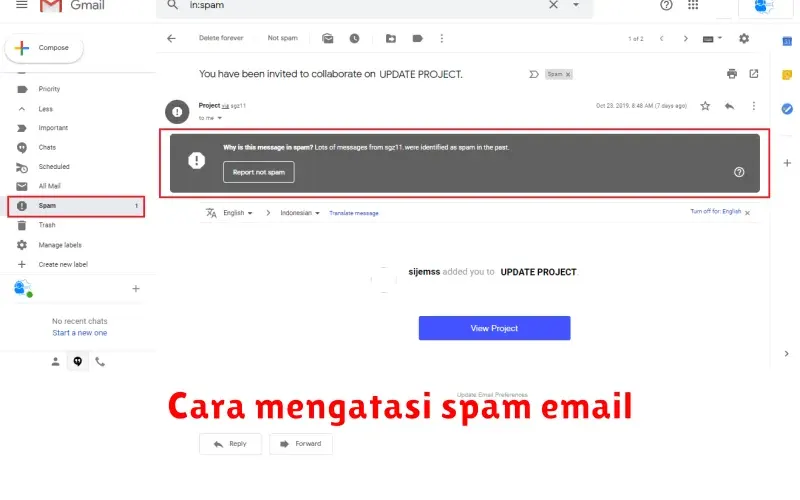 Stop Spam Email! Cara Ampuh Mengatasi Serangan Email Sampah