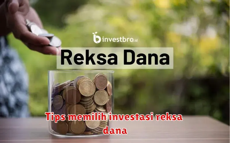 Tips Memilih Investasi Reksa Dana: Panduan Lengkap untuk Pemula
