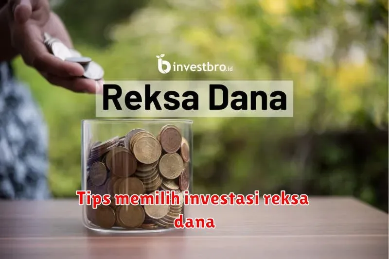 Tips Memilih Investasi Reksa Dana: Panduan Lengkap untuk Pemula