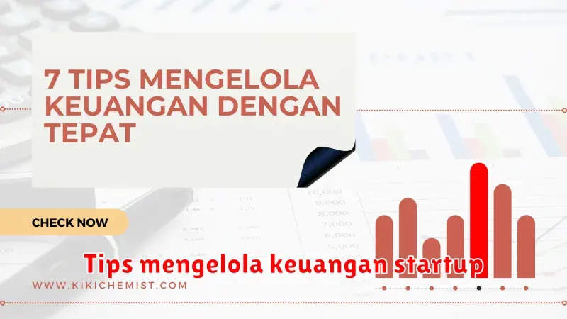 Tips Mengelola Keuangan Startup: Panduan Lengkap untuk Menjaga
Ketahanan Bisnis