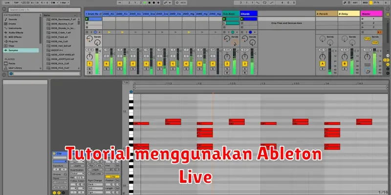 Panduan Lengkap Menggunakan Ableton Live: Dari Dasar hingga Mahir