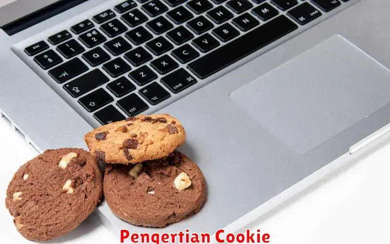 Pengertian Cookie: Fungsi dan Cara Kerjanya