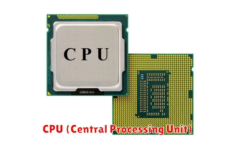 Pengertian CPU: Fungsi, Jenis, dan Cara Kerjanya