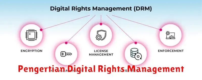 Mengenal Digital Rights Management (DRM): Melindungi Hak Cipta di Era Digital