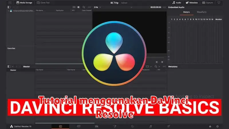 Tutorial Lengkap DaVinci Resolve: Dari Pemula Sampai Mahir