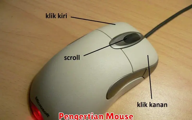 Pengertian Mouse: Fungsi, Jenis, dan Cara Menggunakannya