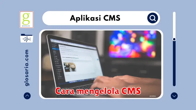 Cara Mengelola Content Management System (CMS) untuk Website Anda: Panduan Lengkap
