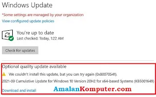 Mengatasi We couldn’t install this update, but you can try again (0x80070541). di Windows 10