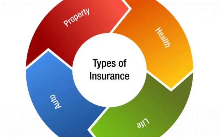 What Are the Different Types of Insurance I Need?