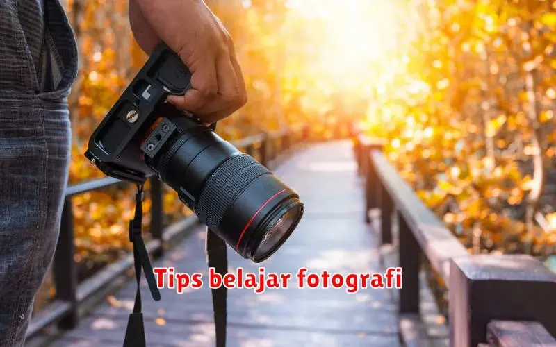 Menguasai Teknik Dasar Fotografi: Panduan Lengkap untuk Pemula